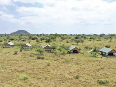 AS-Serengeti-Ikoma-2-600x400