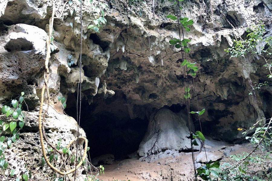 DoZ Kiwengwa Caves