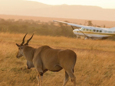Fly-back-to-Arusha-600x400