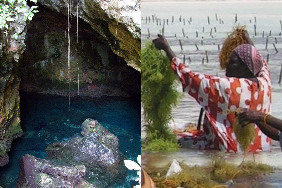 Kuza Cave and SeaWeed farm