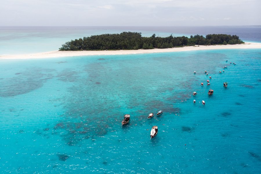 Mnemba Snorkelling