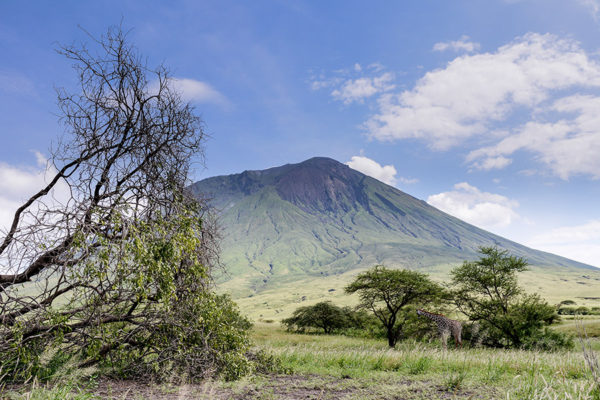 PARK NGORONGORO CRATER