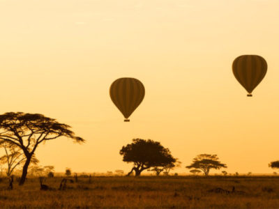 PARK-SERENGETI-NATIONAL-PARK-600x400