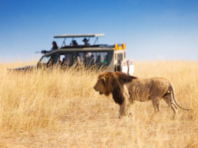 PARK-SERENGETI-NATIONAL-PARK-SERONERA-AREA-600x400