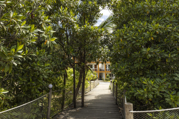 Reef Beach Resort 2025 Gallery 40