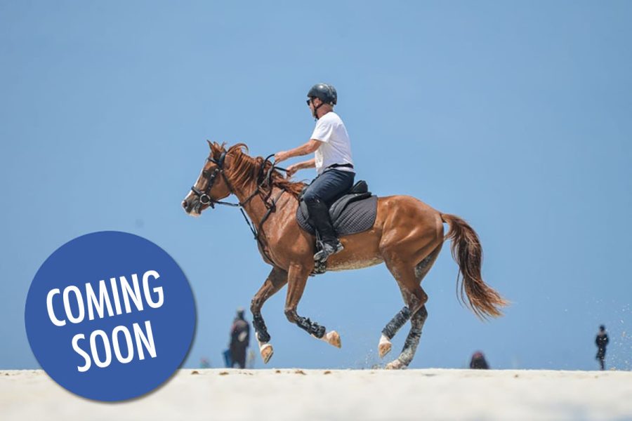 Horse back riding Nungwi (Village & beach ride, 60 minutes)