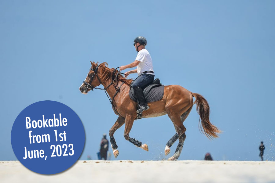 Horse back riding Nungwi (Village & beach ride, 60 minutes)