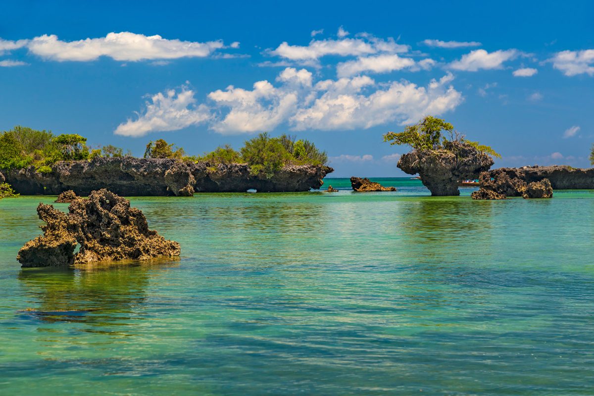 Zanzibar Blue Safari