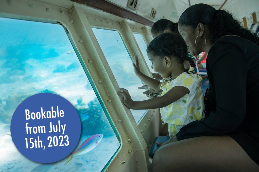 Zanzibar Submarine Adventure – Royal Beach Tour