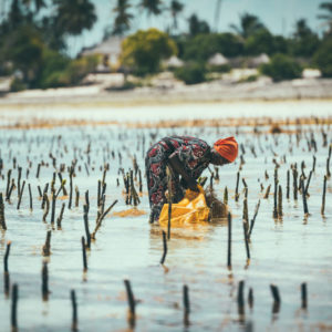 Zanzibar - Tanzania