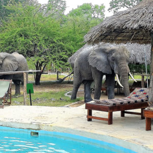 Africa Safari Selous Accommodation