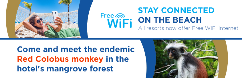 banner-monkey-mobile banner-monkey-mobile