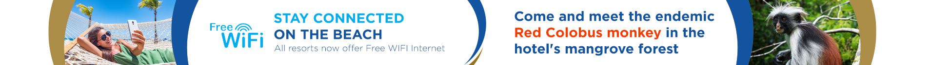 banner-monkey banner-monkey