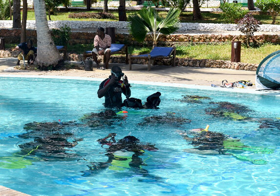 PADI Diving Courses