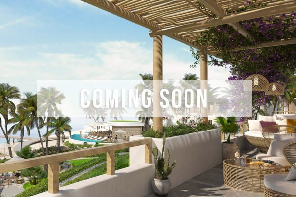 corals-of-zanzibar-coming-soon