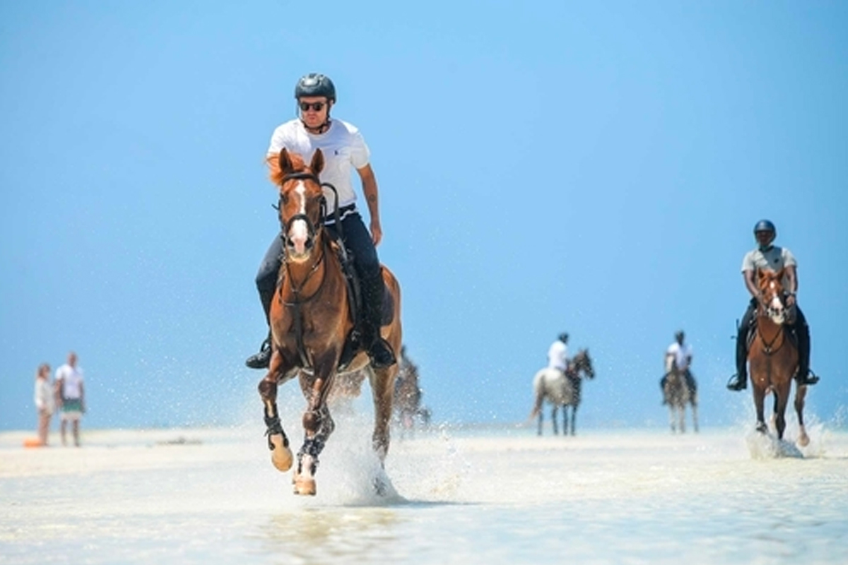 horse swim hotel zanzibar web