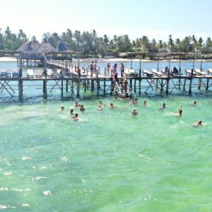 jetty paradise beach resort 49651883133 o