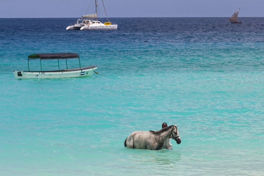 Horse back riding Nungwi (swimming with the horses 120 min.)