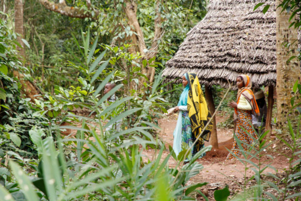 zanzibar reef beach resort 02